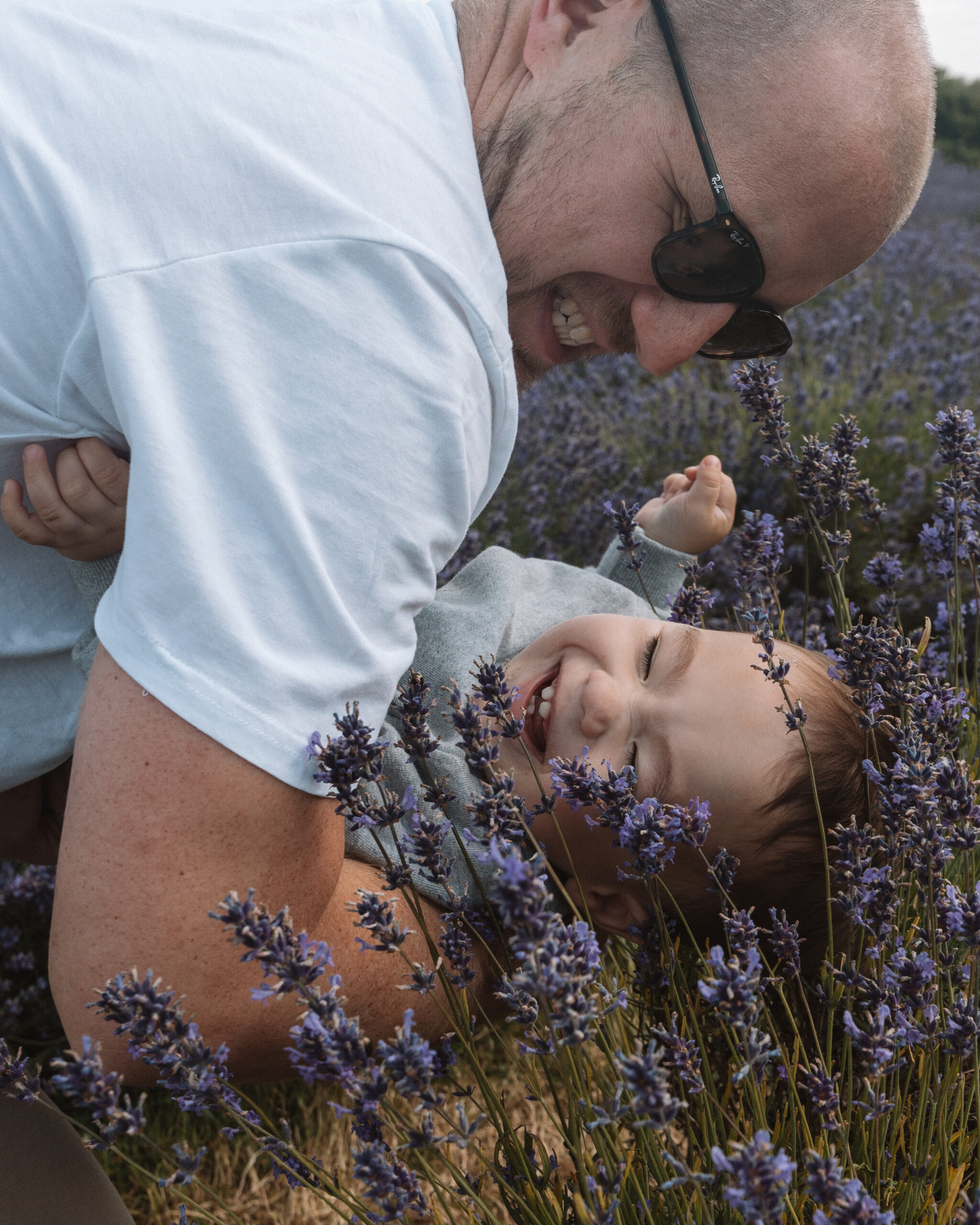 father and son laying down in lavender field