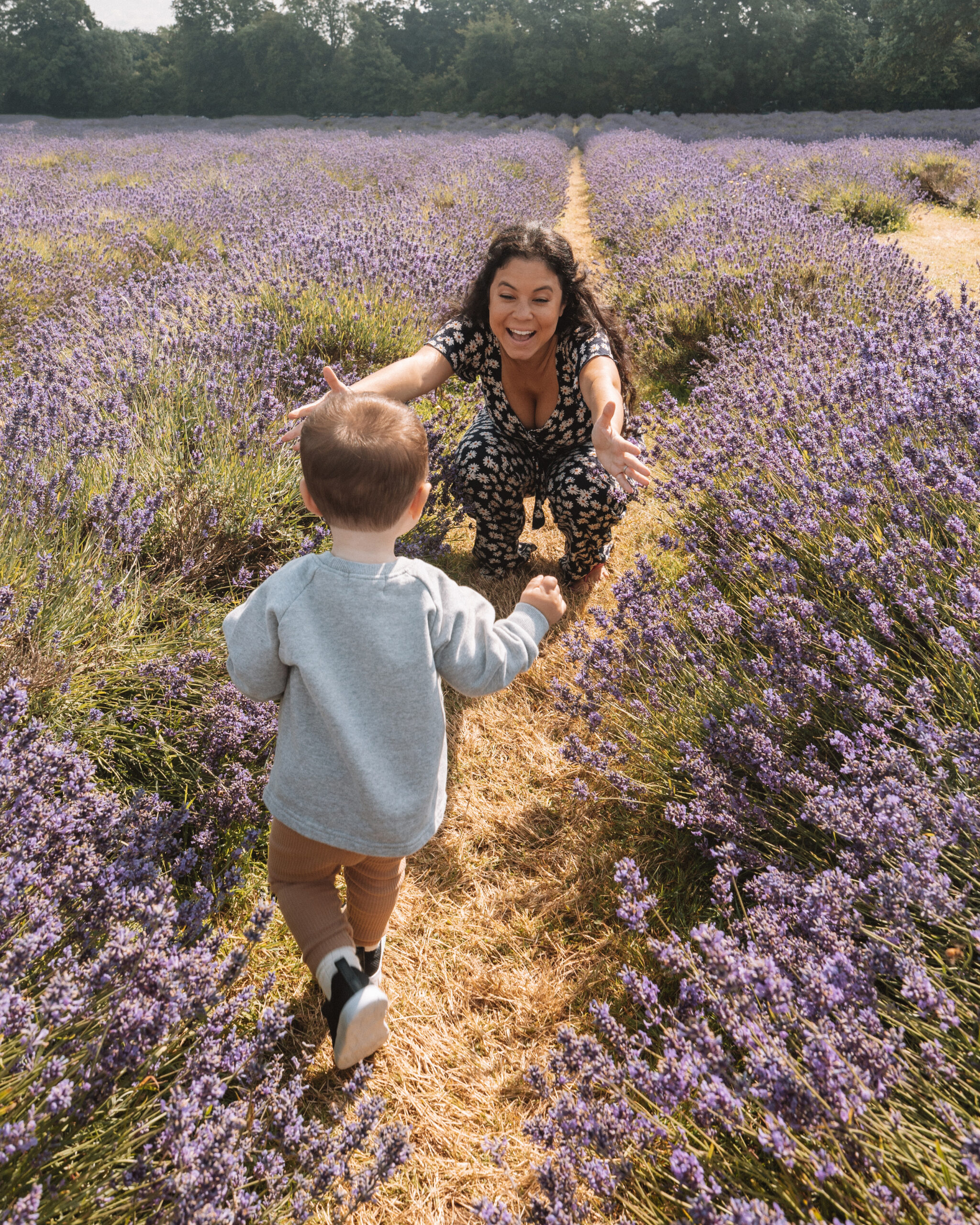 toddler running into mothers arms in lavendar field